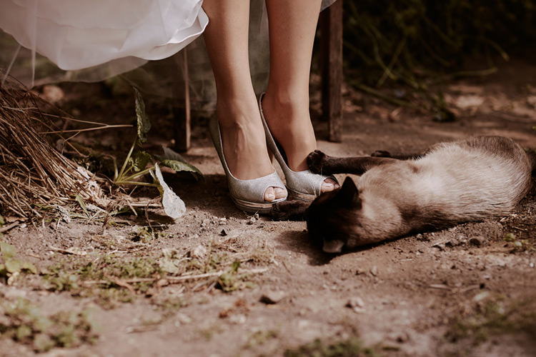 fotografia casamento nuno lima fotografia fotografo documental casamento reportagem portugal ansiao noiva gato