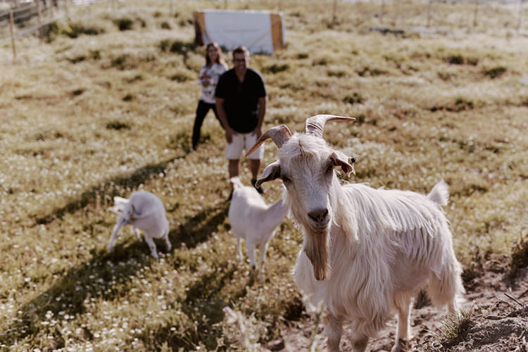 sessao fotografica solteiros documental namoro nuno lima fotografia fotografo um momento na vida portugal leiria quinta animais