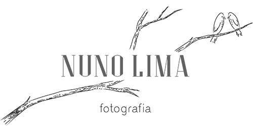 Nuno Lima Fotografia